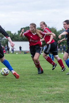 Bild 135 - Frauen SG NieBar - HSV 2 : Ergebnis: 4:3
